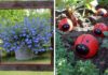 12 Wonderful DIY Things You Can Make At Your Garden