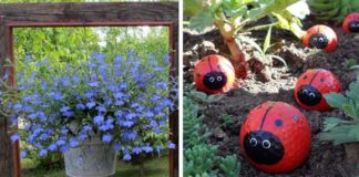 12 Wonderful DIY Things You Can Make At Your Garden