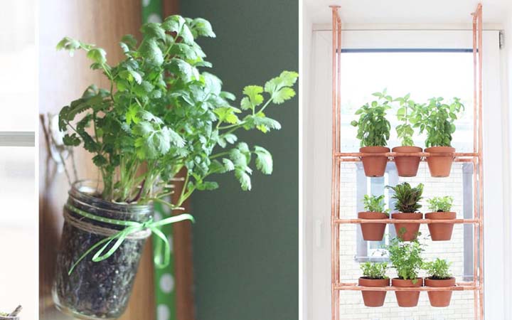A Hanging Herb Garden To Save Space