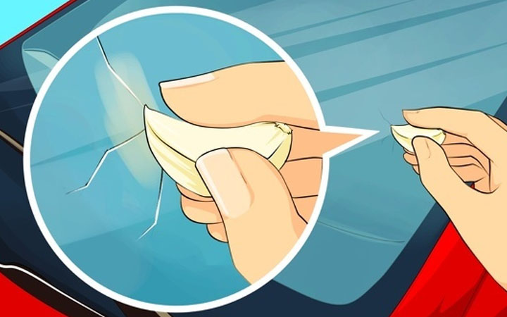 Garlic can be used to fix a cracked car windshield