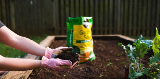 Here Are 10 Ways You Can Improve Your Garden Soil