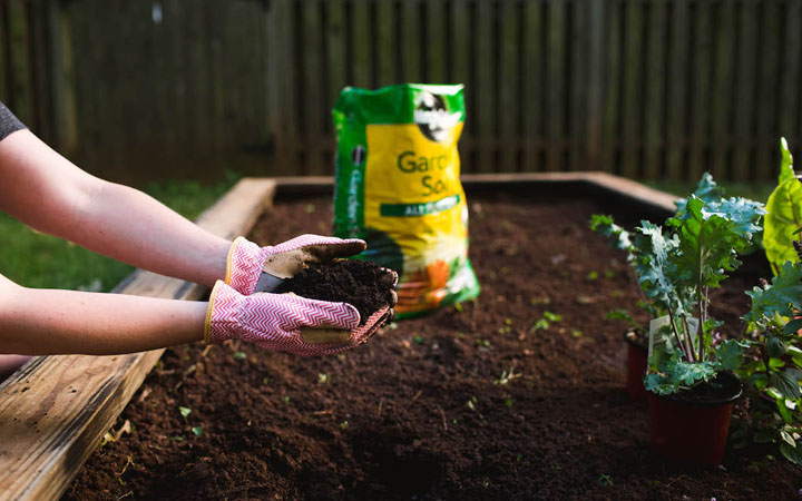 Here Are 10 Ways You Can Improve Your Garden Soil